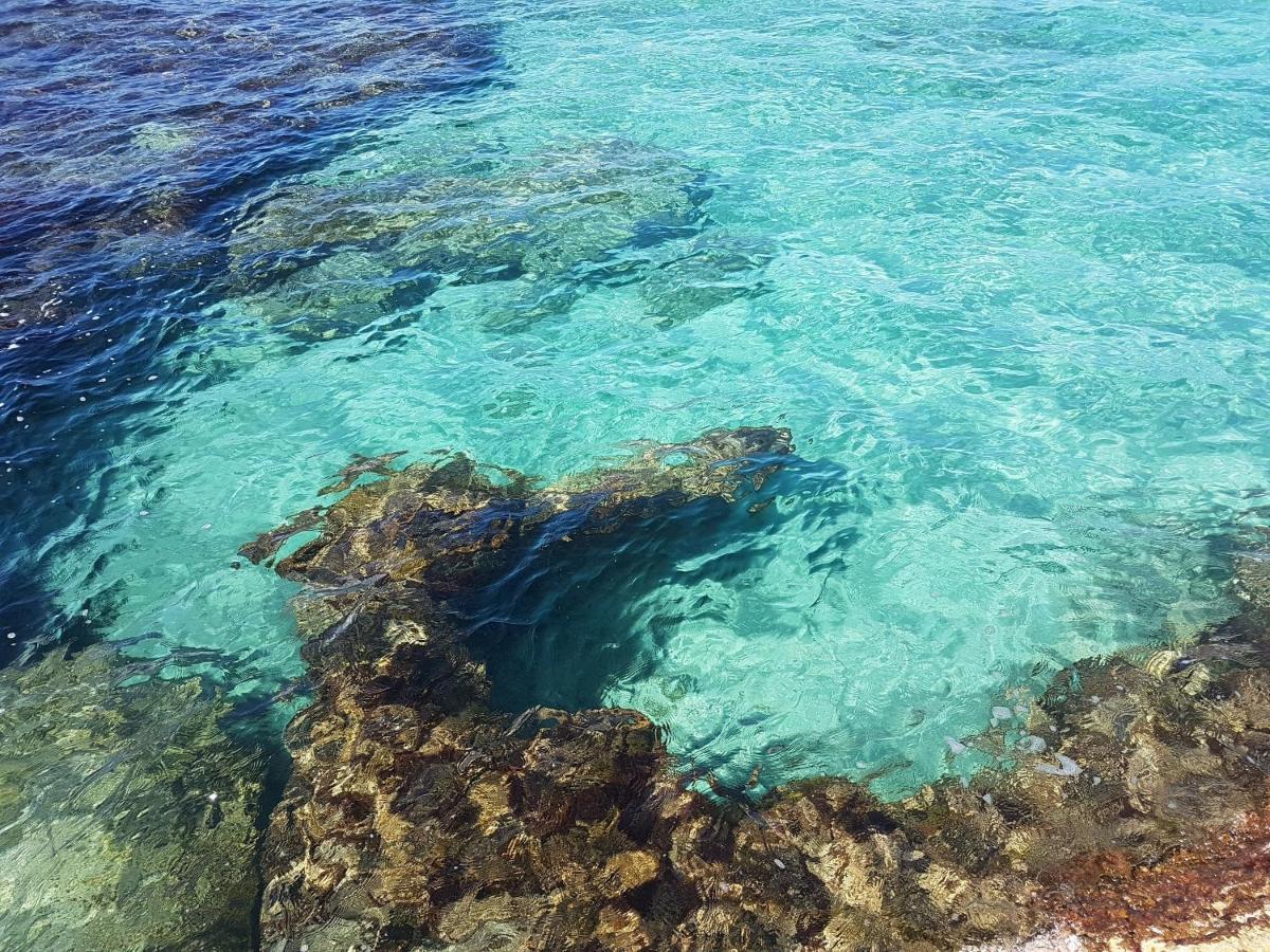Suite Mariagiulia مونوبولي المظهر الخارجي الصورة